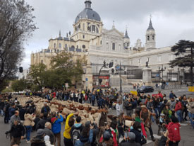 Foro Agro Ganadero
