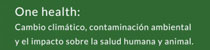 Foro Agro Ganadero