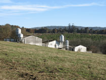 Foro Agro Ganadero