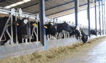 Foro Agro Ganadero