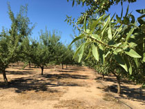 Foro Agro Ganadero