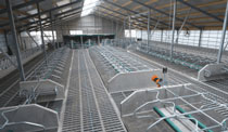 Foro Agro Ganadero