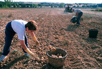 Foro Agro Ganadero