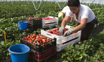 Foro Agro Ganadero
