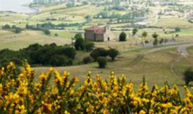 Foro Agro Ganadero