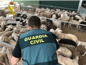 Foro Agro Ganadero