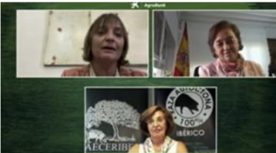 Foro Agro Ganadero