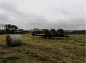 Foro Agro Ganadero