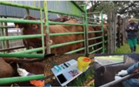 Foro Agro Ganadero