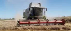 Foro Agro Ganadero