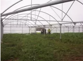 Foro Agro Ganadero