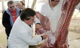 Foro Agro Ganadero