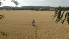 Foro Agro Ganadero