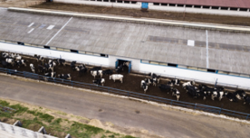 Foro Agro Ganadero
