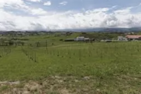 Foro Agro Ganadero