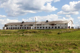 Foro Agro Ganadero