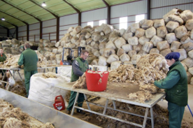 Foro Agro Ganadero