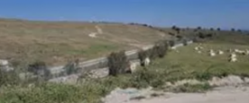 Foro Agro Ganadero