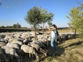 Foro Agro Ganadero