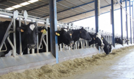 Foro Agro Ganadero