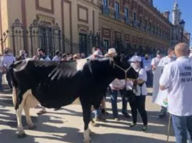 Foro Agro Ganadero