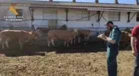 Foro Agro Ganadero