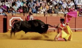 Foro Agro Ganadero