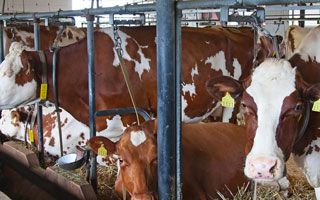 Foro Agro Ganadero