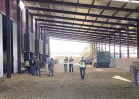 Foro Agro Ganadero