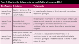 Foro Agro Ganadero