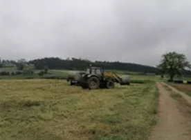 Foro Agro Ganadero