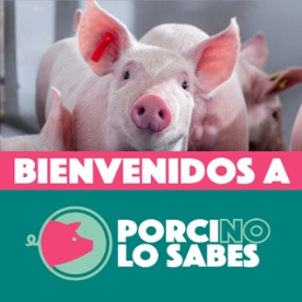 Foro Agro Ganadero