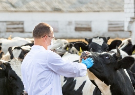 Foro Agro Ganadero