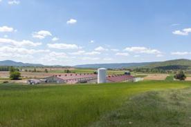 Foro Agro Ganadero