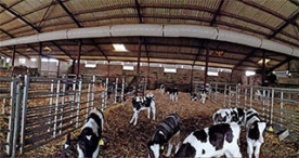 Foro Agro Ganadero