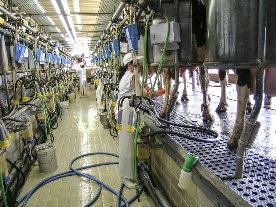 Foro Agro Ganadero