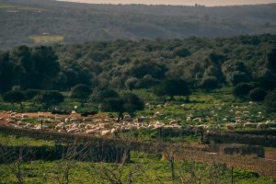 Foro Agro Ganadero