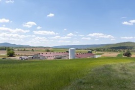 Foro Agro Ganadero