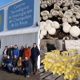 Foro Agro Ganadero