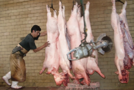 Foro Agro Ganadero