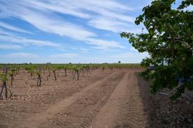 Foro Agro Ganadero
