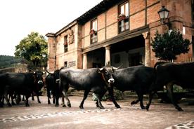 Foro Agro Ganadero