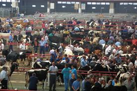Foro Agro Ganadero