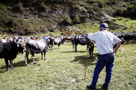 Foro Agro Ganadero