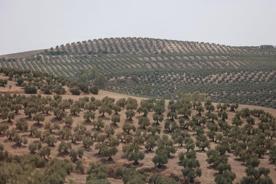 Foro Agro Ganadero