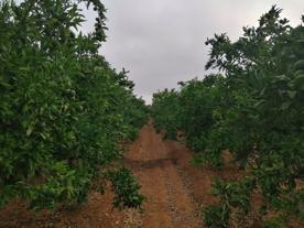 Foro Agro Ganadero