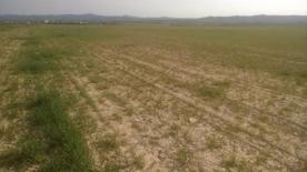 Foro Agro Ganadero