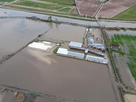 Foro Agro Ganadero