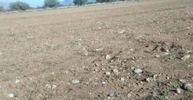 Foro Agro Ganadero