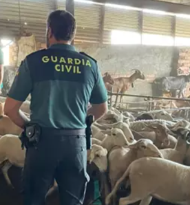Foro Agro Ganadero